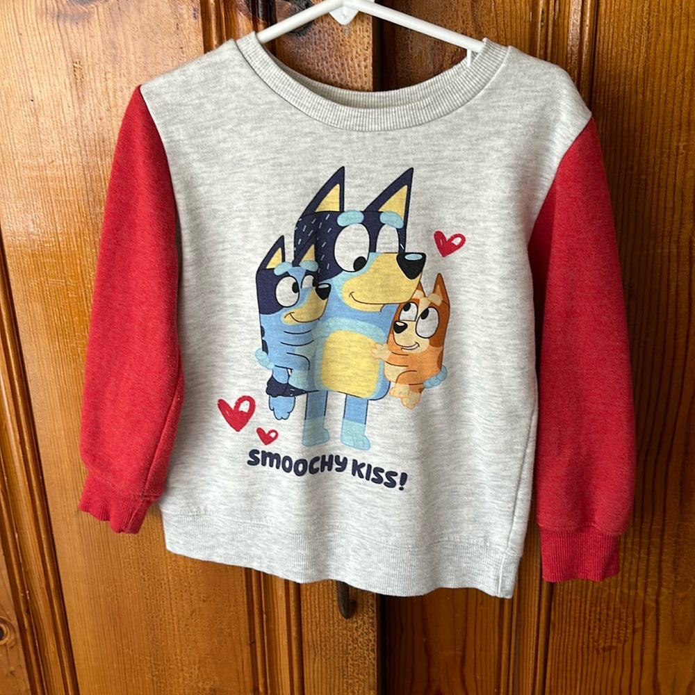 Bluey sweatshirt